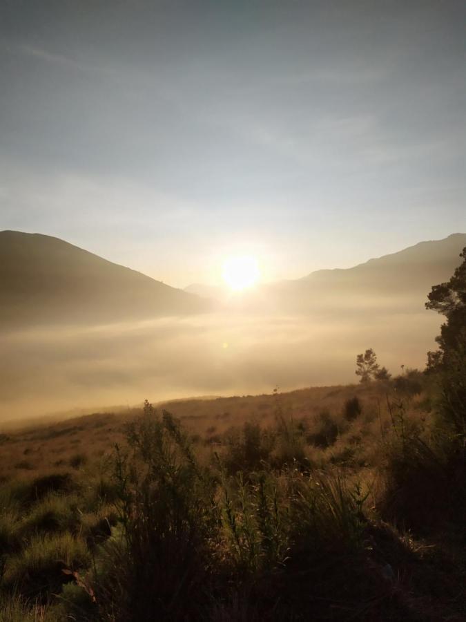 Lusman Homestay Bromo Ngadisari Eksteriør billede